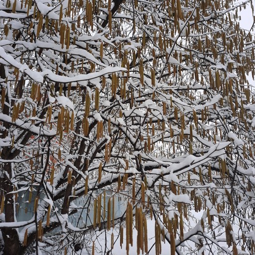 Весенняя философия