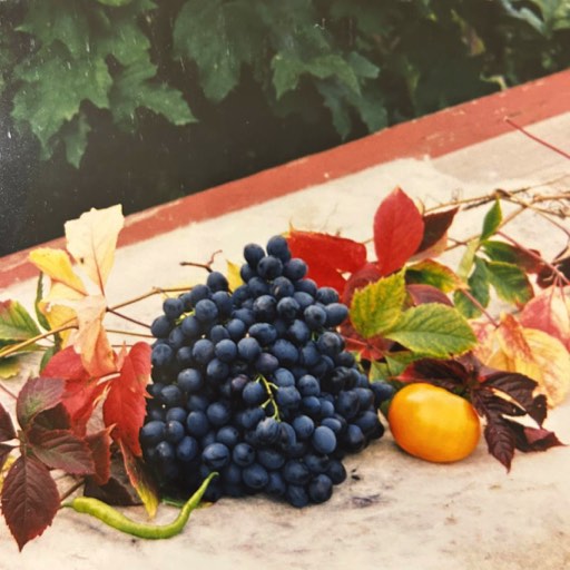 Стихотворение 