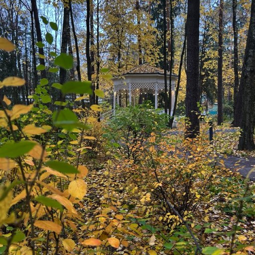 Осень