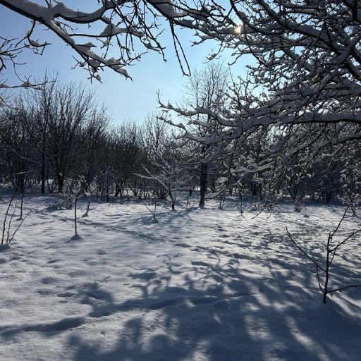 Январский снег